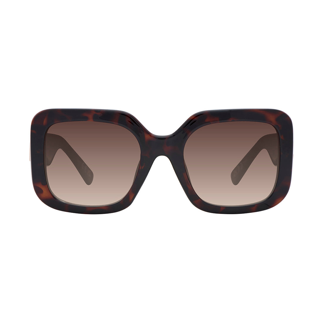 MARGIA TORTOISE - view 2