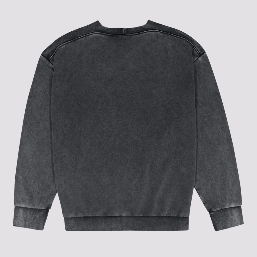 SERGIO SNOW WASH CREW NECK SWEAT - view 7