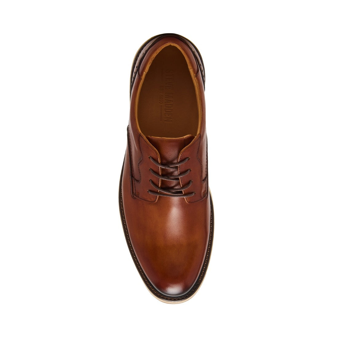 HOWWARD TAN - view 6