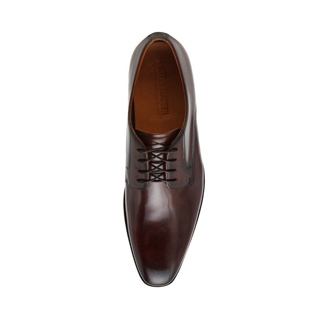 PARSCAL BROWN - view 6
