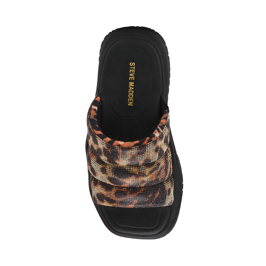 SUPERVIZOR LEOPARD