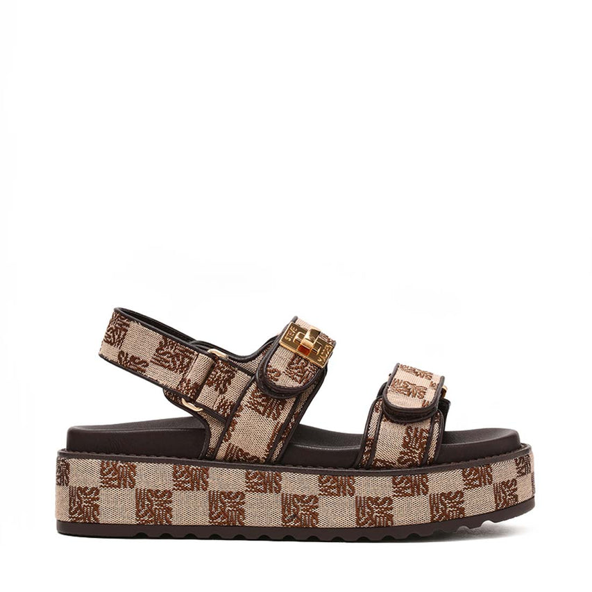 BIGMONA-SM BROWN