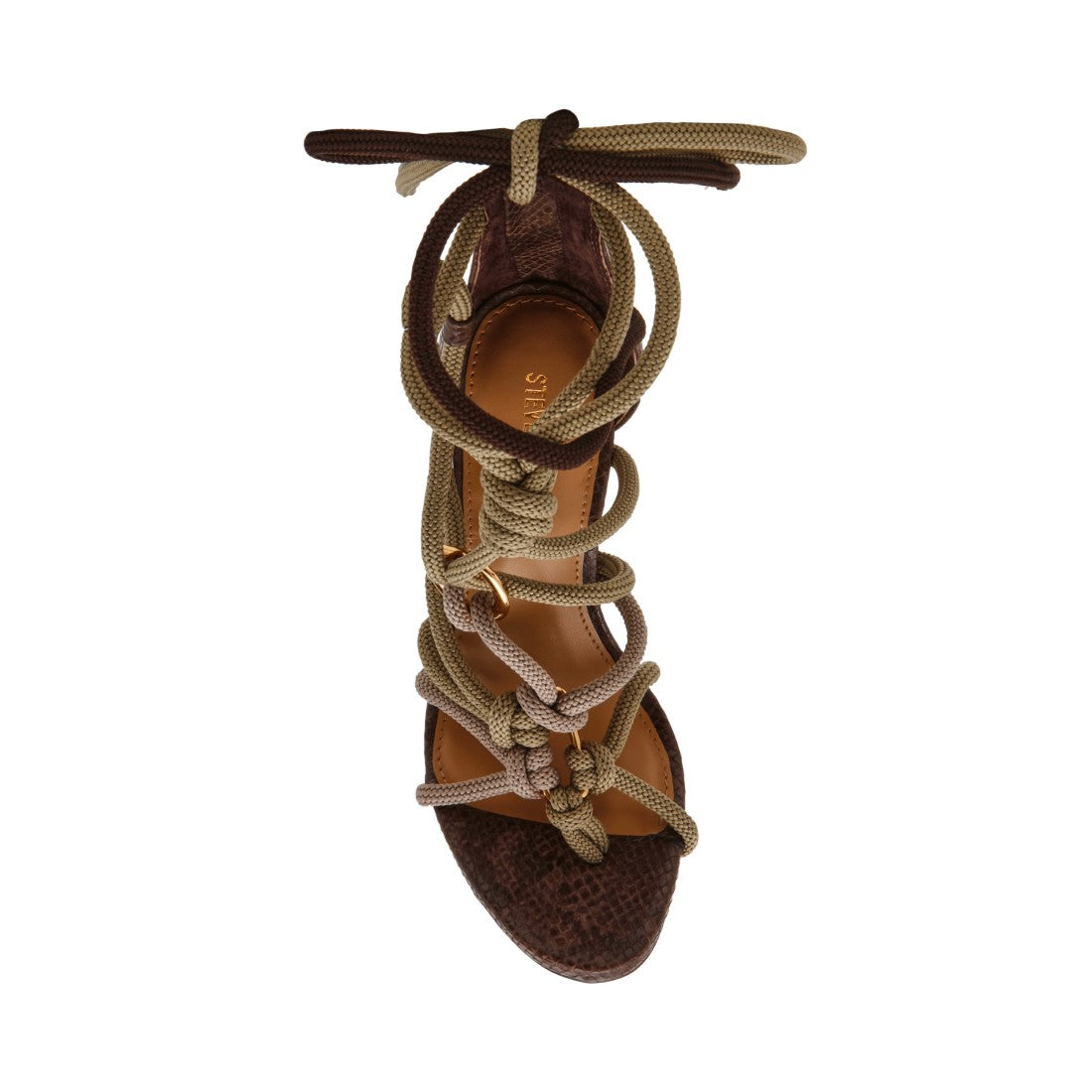 CATNYSS OLIVE - view 4