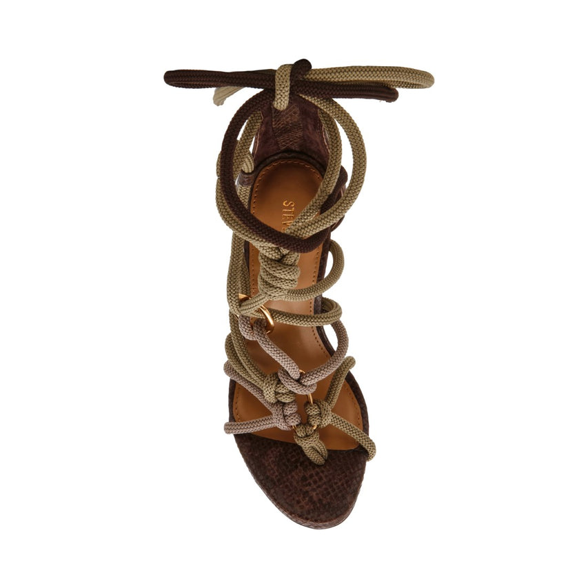 CATNYSS OLIVE - view 4