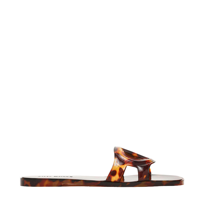 JELLIE TORTOISE - view 2