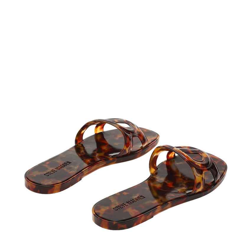 JELLIE TORTOISE - view 4