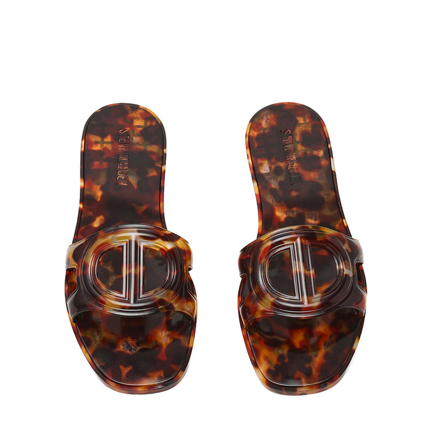 JELLIE TORTOISE - view 3