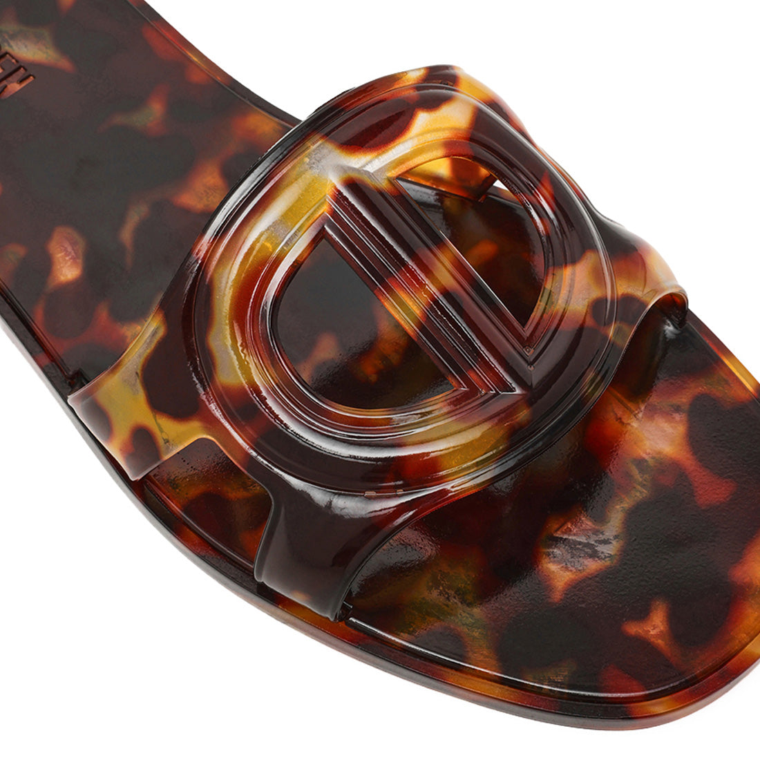 JELLIE TORTOISE - view 5