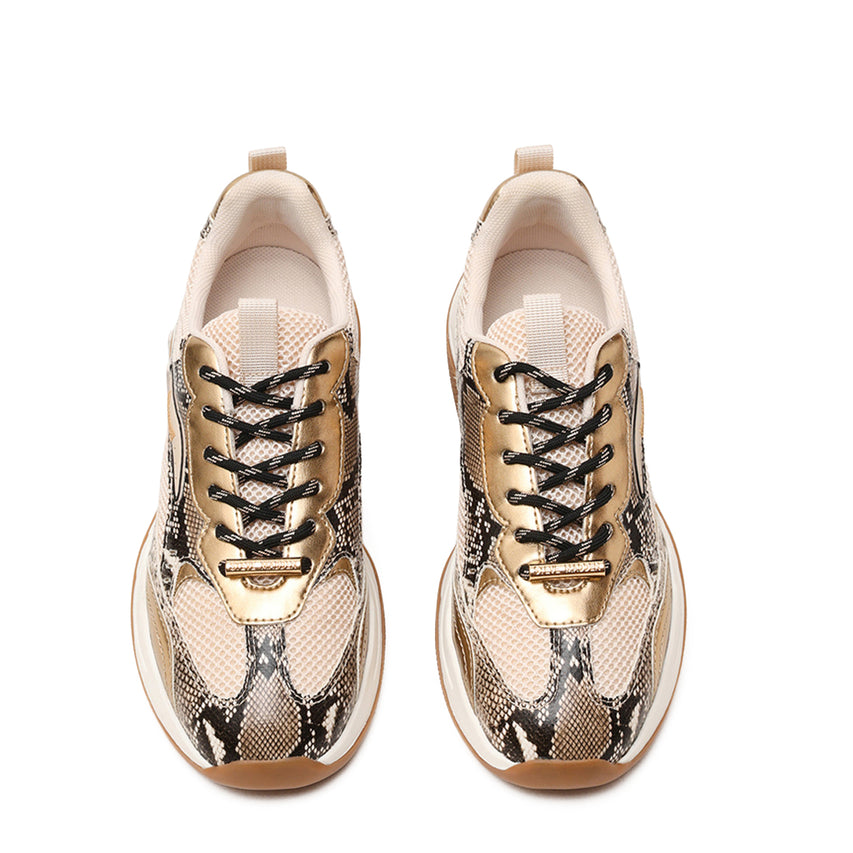 PREMIO LIGHT BRONZE - view 4