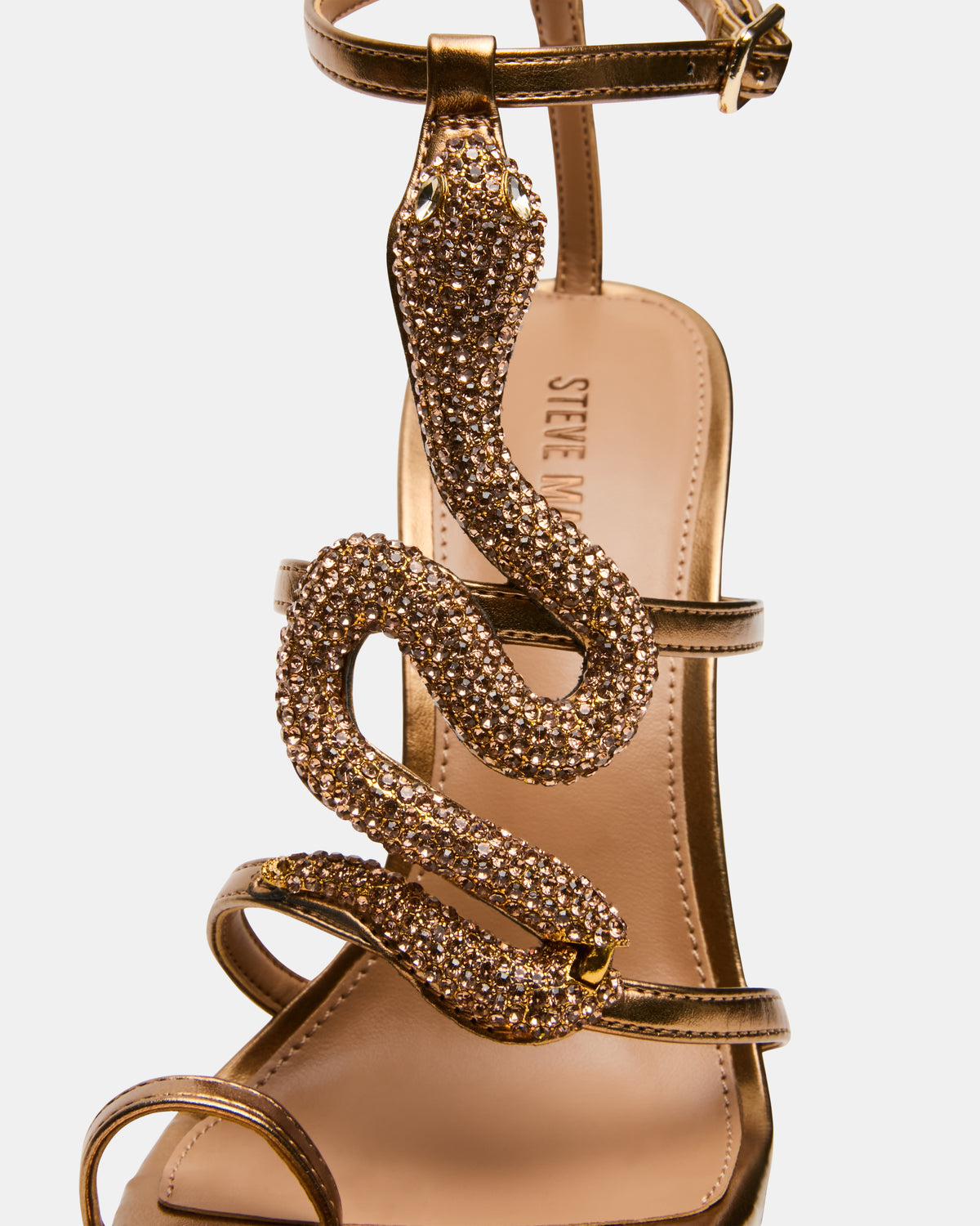 PYTHON BRONZE - view 2