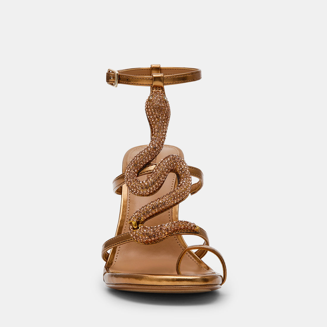 PYTHON BRONZE - view 3