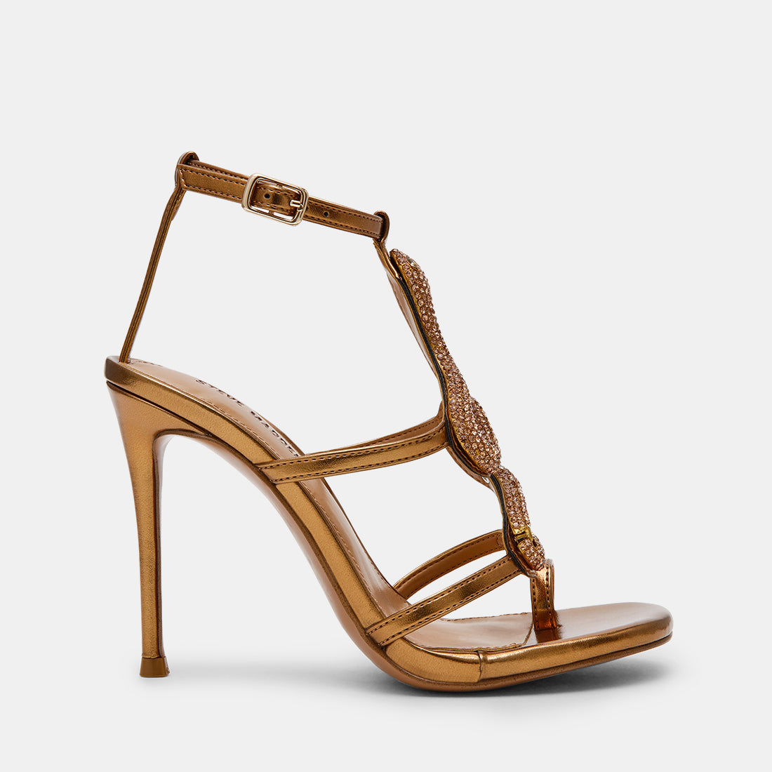 PYTHON BRONZE - view 2