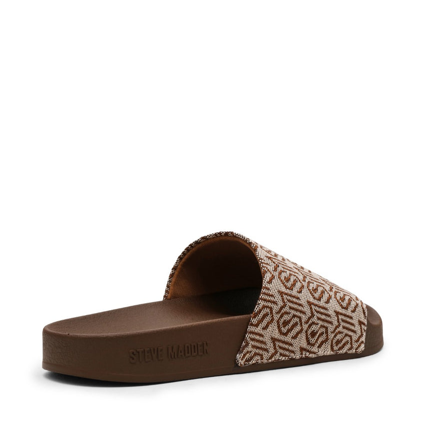 SPEEDUP BROWN