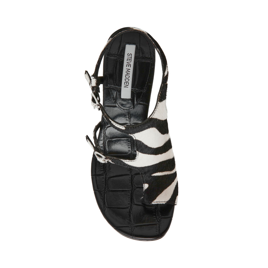 TALLIE ZEBRA - view 4