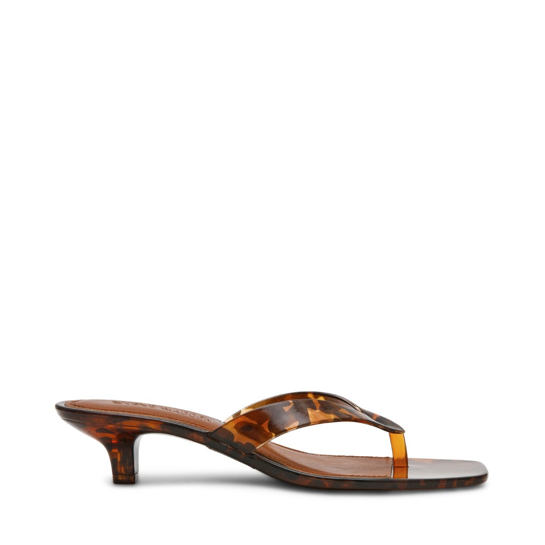 TRACIE-J TORTOISE - view 2