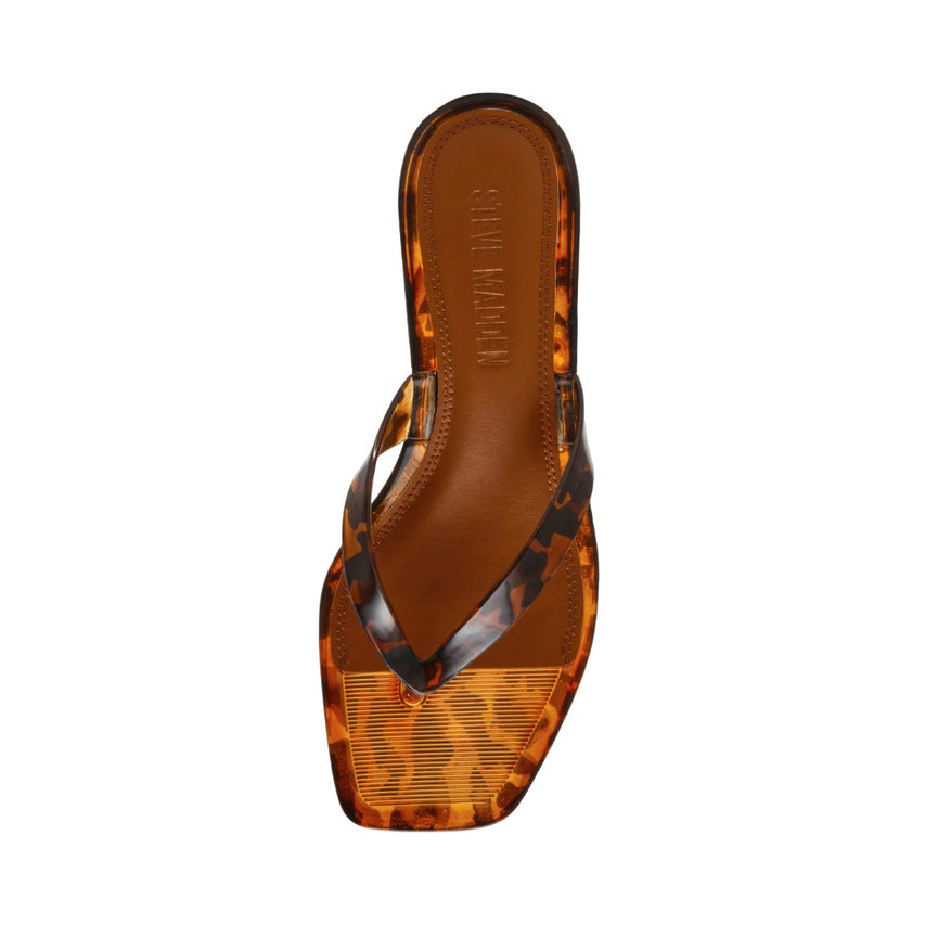 TRACIE-J TORTOISE - view 4