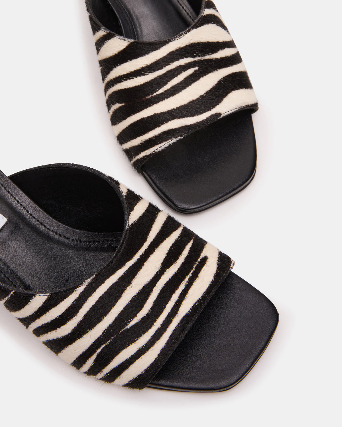 TRINA-H ZEBRA - view 5
